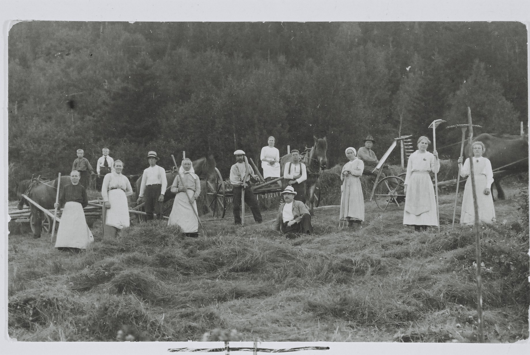 Slåttonn på Benan i 1917