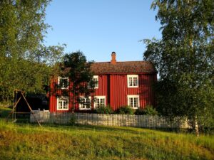 1 Leinsleira EM 06 2007