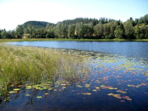 1 Rungstadvatnet 10 2009 2